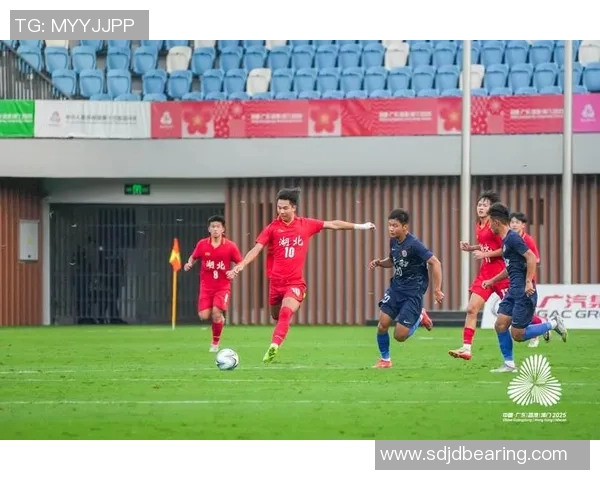 阿尔艾因与惠灵顿的精彩对决揭示足球魅力与团队精神的完美结合